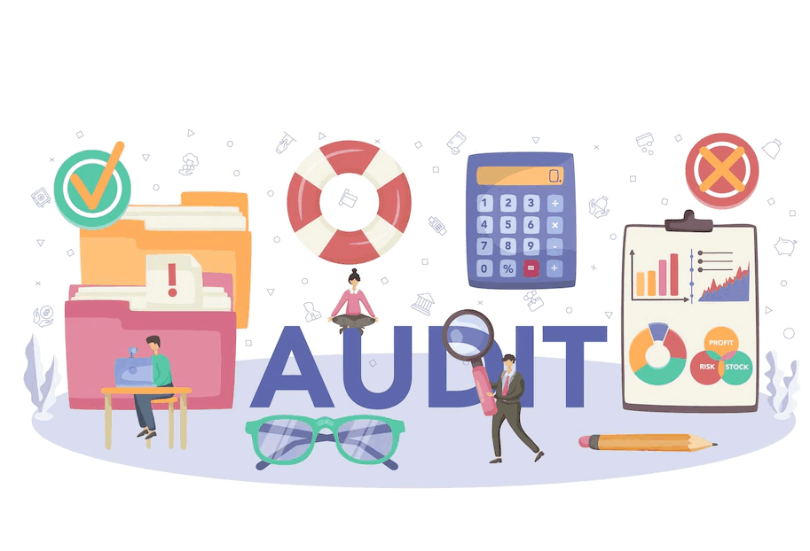 image-audit